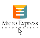 Micro Express Ltd. logo